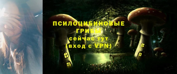 ALPHA PVP Дмитров