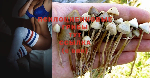 MESCALINE Дмитриев
